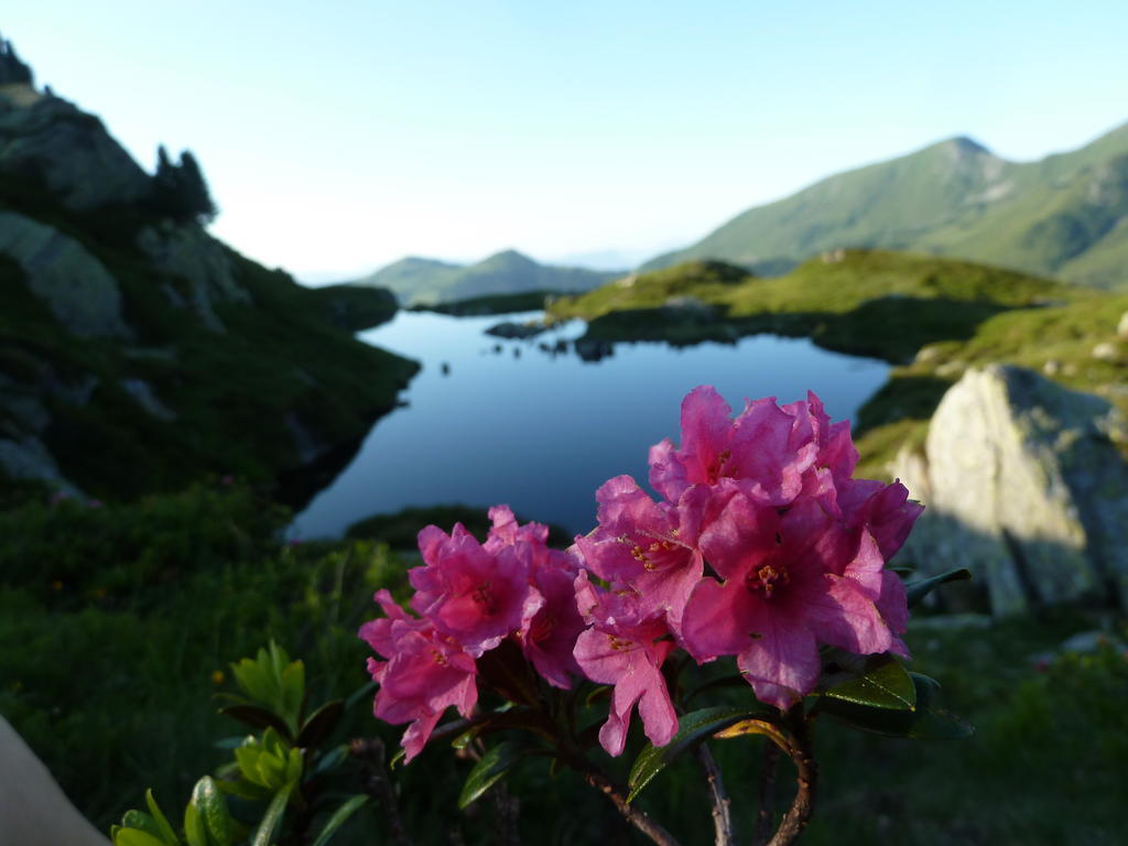 Gaestehaus Gratlspitz Alpbach Kültér fotó